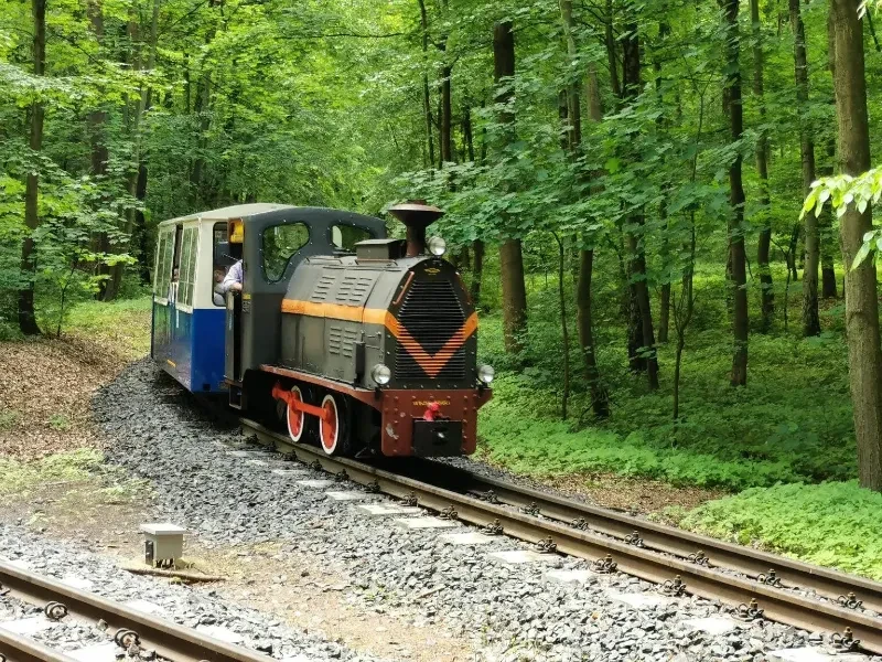Pociąg Maltanki