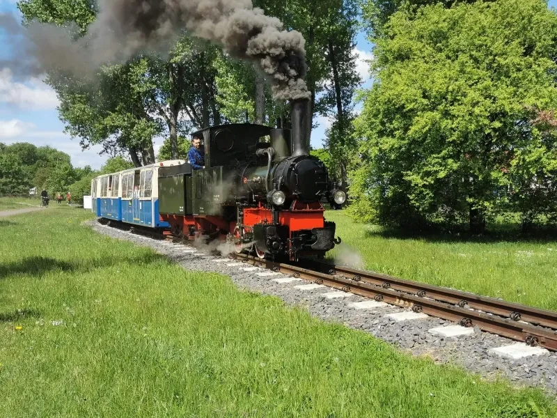 Maltanka w Poznaniu