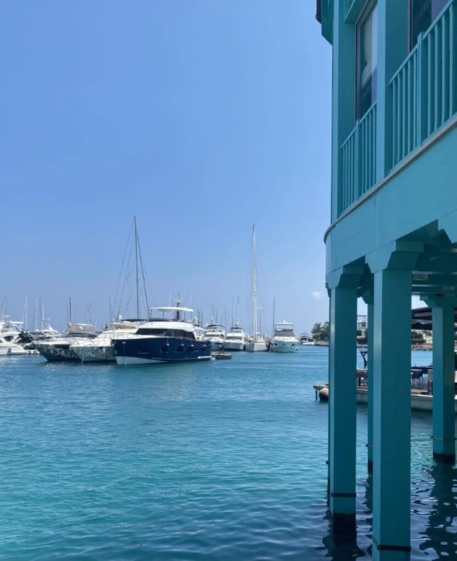 Marina w Limassol