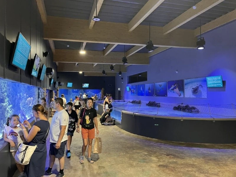 Akwarium opolskiego ZOO