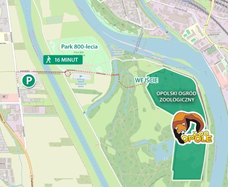 Mapka dojścia do ZOO w Opolu z centrum przesiadkowego, mat. ZOO Opole