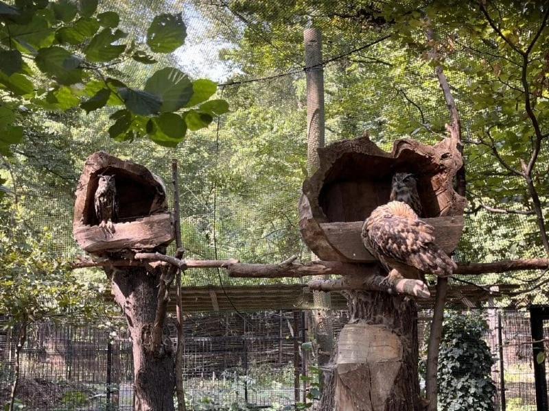 Mieszkańcy ZOO w Opolu