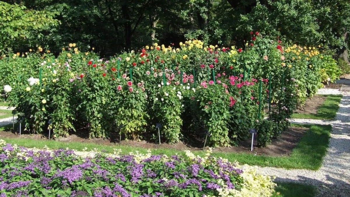 Ogród Botaniczny Uniwersytetu Warszawskiego. Odkryj piękno natury
