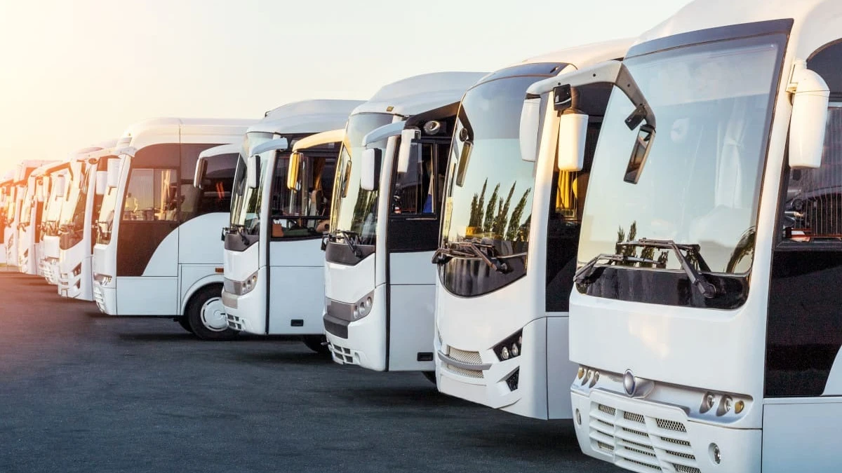 Najczęstsze błędy przy organizacji transportu grupowego – jak ich uniknąć?
