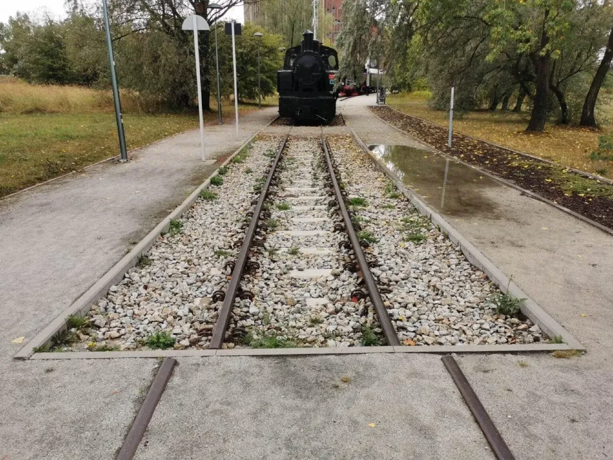 Zdjęcie 5