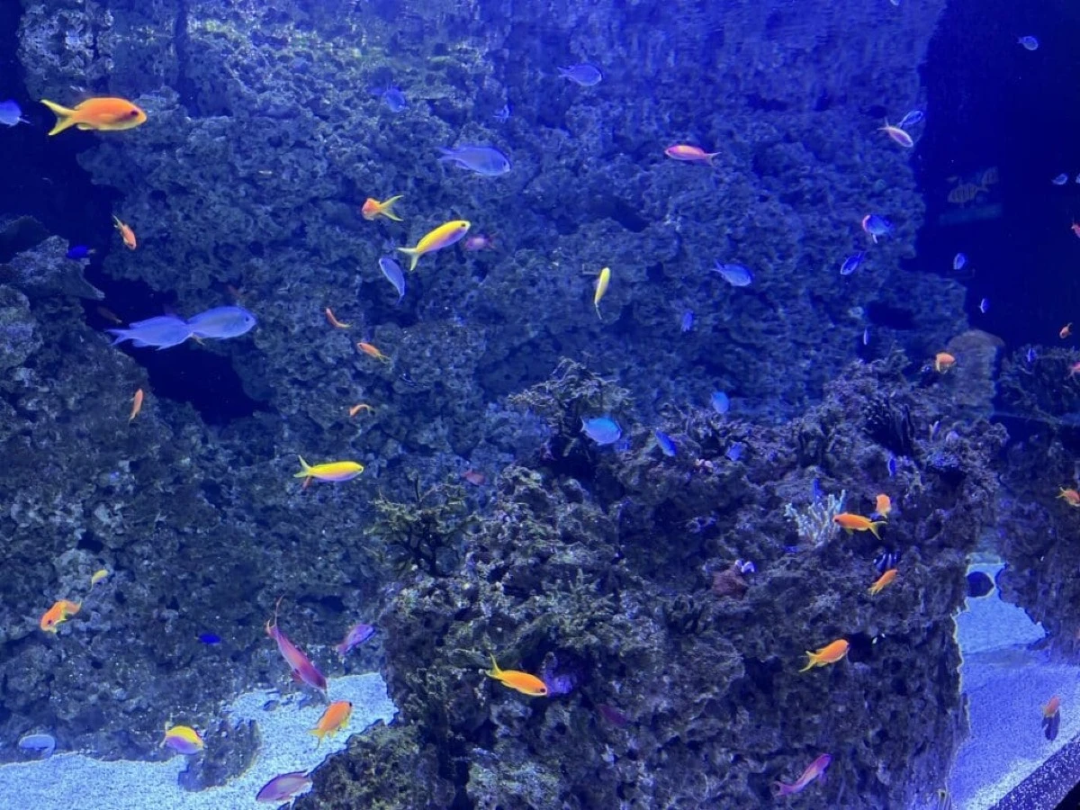 Akwarium opolskiego ZOO