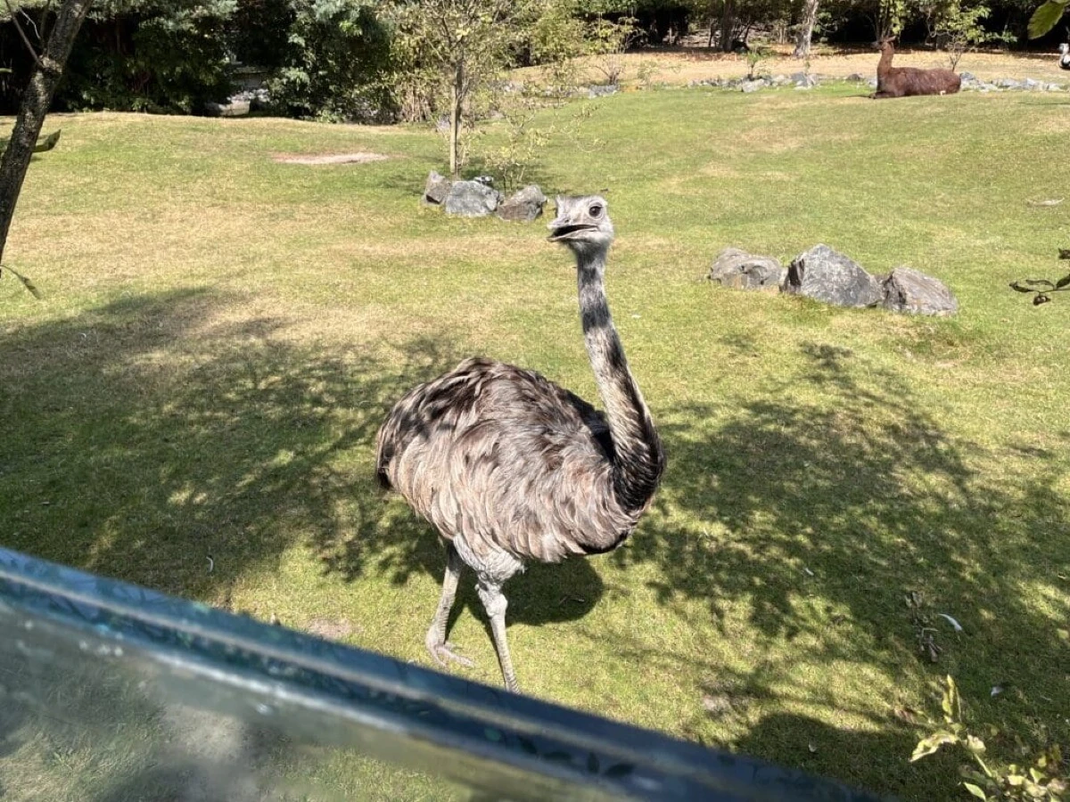Mieszkańcy ZOO w Opolu